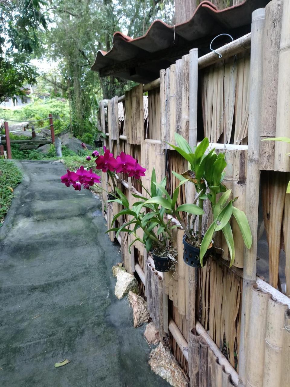 Koh Phangan Pavilions Serviced Apartments Thongnajpannoj Kültér fotó